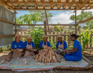  P4P-programmet på Madagaskar strävar efter att öka småbrukares möjligheter och tillgång till jordbruksmarknader. Foto: WFP/Giulio d'Adamo